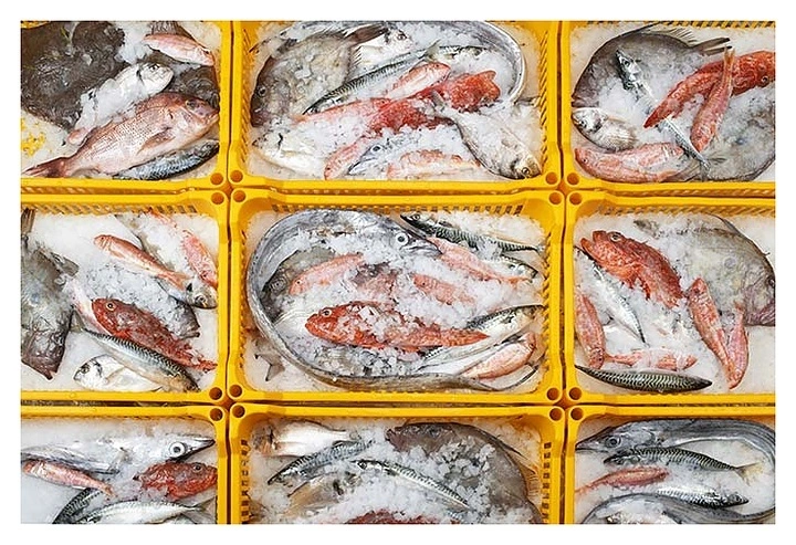 Льдогенератор Brema Muster 2000