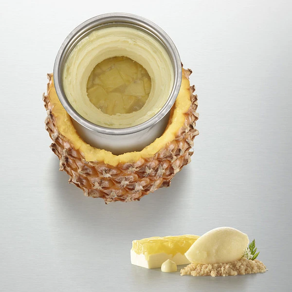 Гомогенизатор Pacojet 2 Plus